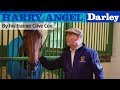 Harry angel  by his trainer clive cox