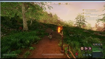 New World 1.0.1 run while encumbered bug