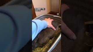 Download Lagu February 21, 2024 MP3