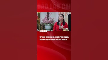 Tập huấn triển khai dự án khắc phục hậu quả, ứng phó, phục hồi và tái thiết sau thiên tai | THLC