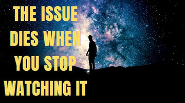 The Observer Effect What You Focus On Grows