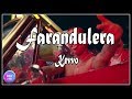 Farandulera - Kevvo (Lyrics/letras) 💥
