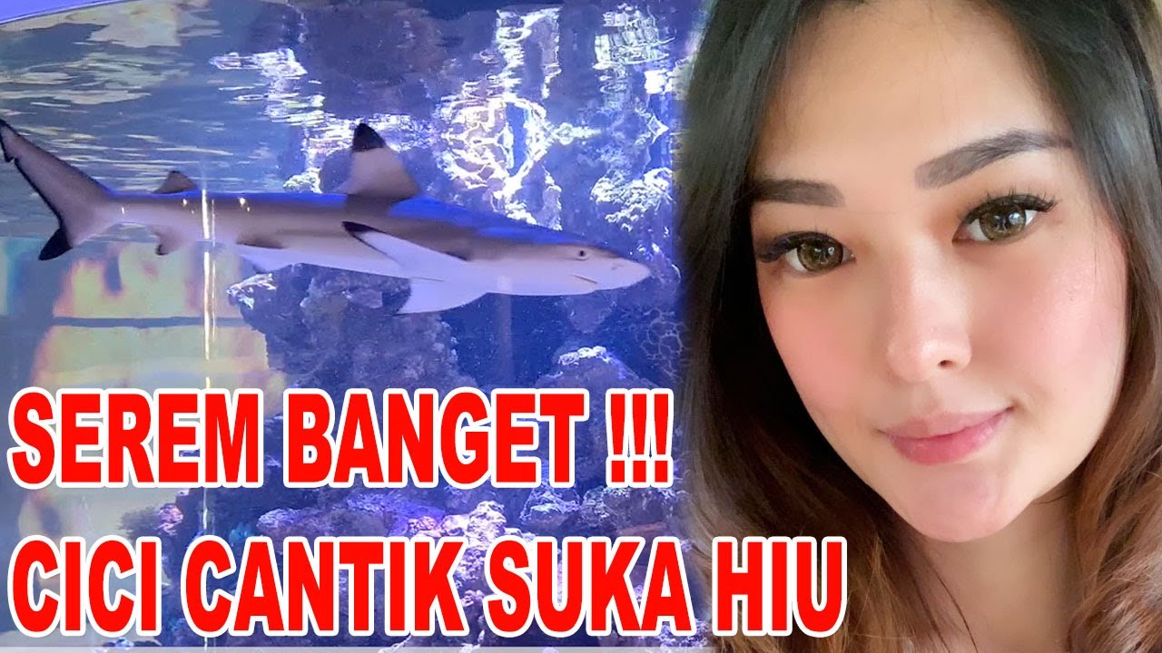 CICI CANTIK SUKA HIU - SEREM BANGET !!! - YouTube