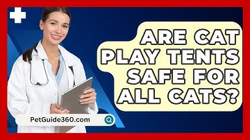 Are Cat Play Tents Safe For All Cats? - PetGuide360.com