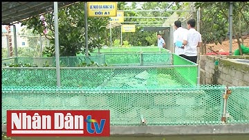 Quan tâm ứng dụng khoa học và công nghệ trong bảo vệ môi trường