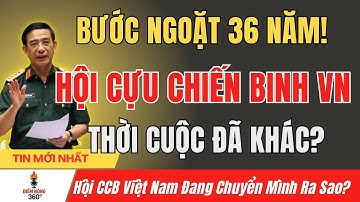 36 Năm Hội Cựu Chiến Binh Việt Nam: Vì Sao Kết Luận 196 Là Bước Ngoặt?