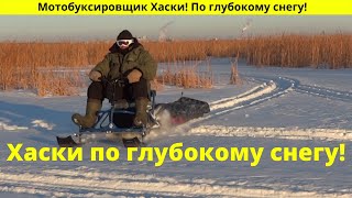 Мотобуксировщик Хаски!  По глубокому снегу!