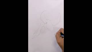 how to draw couple birds easy || how to draw couple birds flying || how to make pair of birds ||