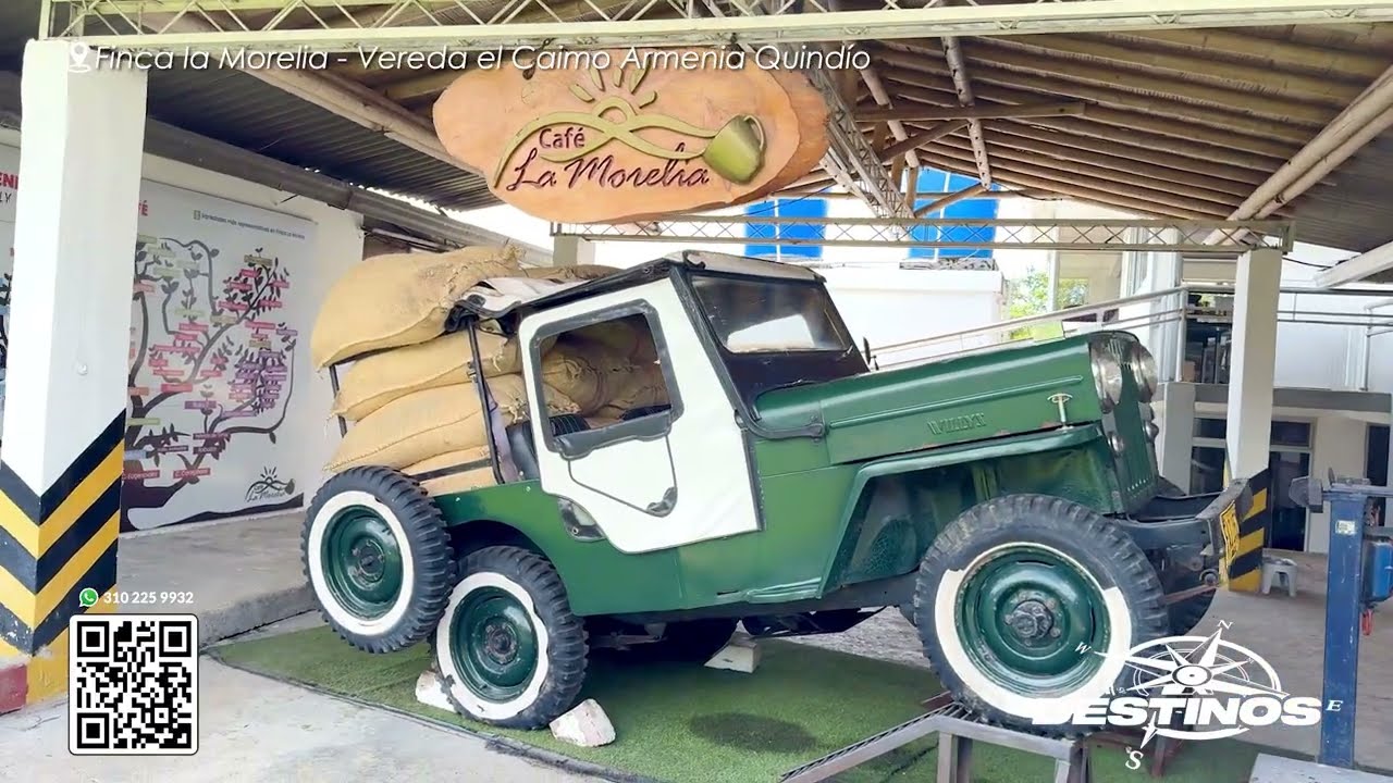 Conoce #fincalamorelia  en el #ejecafeterocolombia #quindio #colombia con Motaña Viva