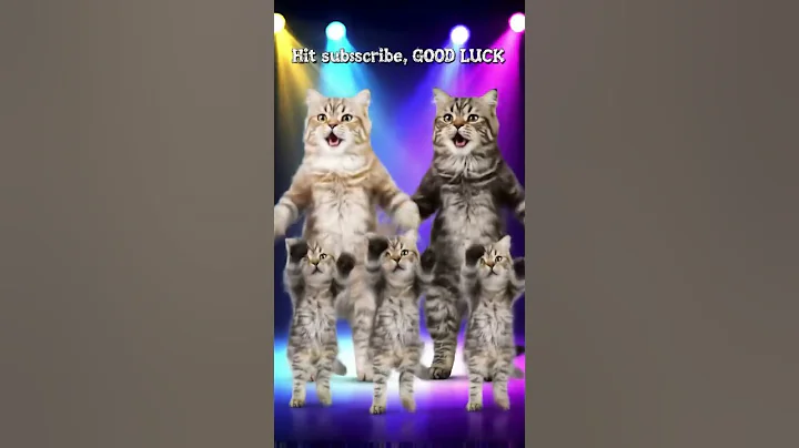 Watch the video about Funny Turkish Angora cats family dance #Shorts #funny #joy #cute #joyful #Joyfully