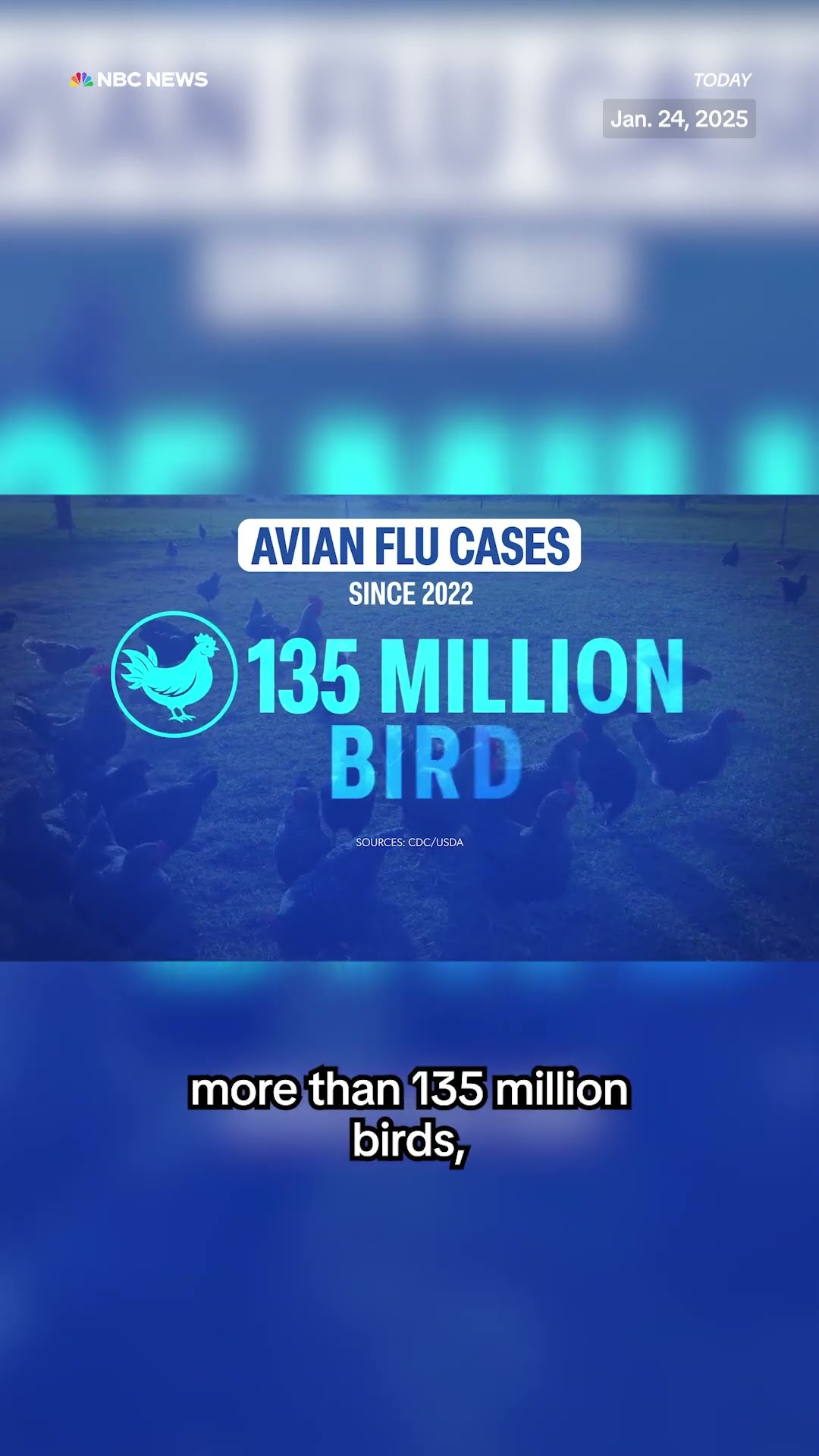 Bird flu raises price of eggs and poses threat to pets