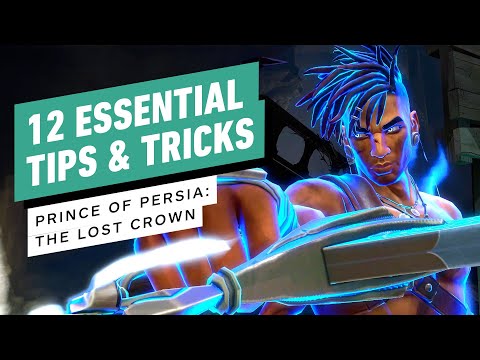 : Guide - 12 Essential Tips 