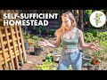 Homesteading couple hasnt bought groceries in a year of selfsufficient living