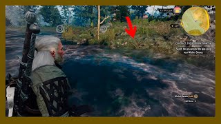 Search the area around the lake using your Witcher Senses - Contract The Apiarian Phantom Net Worth