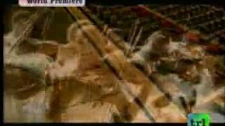 Tupac Ft Notorious BIG-Runnin' (lyrics)