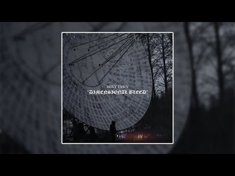 HOLY FAWN - Dimensional Bleed [Album] (2022)