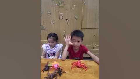 Tiếng Anh Giao Tiếp Tại Phan Thiết: Elly and Ben practices talking about Insects