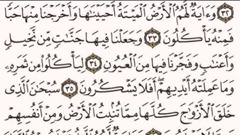 الصفحة رقم 442 الشيخ ماهر المعيقلي - القرآن الكريم - Quran