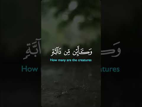 الوقت قد حان للتغيير أسرار ونصائح ملهمة استعداد للرحيل