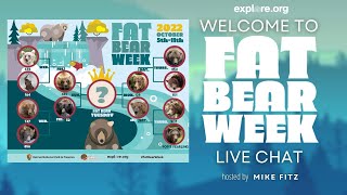 Welcome to Fat Bear Week 2022! | Brooks Live Chat