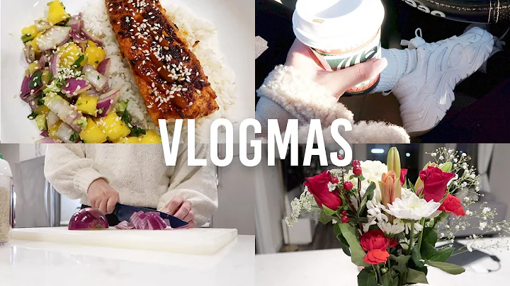 VLOGMAS DAY 9 | Trader Joe's Haul + Cooking w/ Chef Steff + Wrapping Presents
