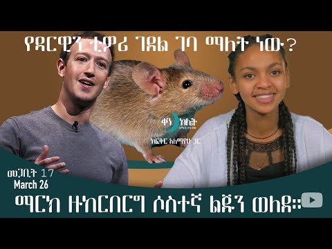 ቪዲዮ: ማርክ አንቶኒ ሴረኛ ነበር?