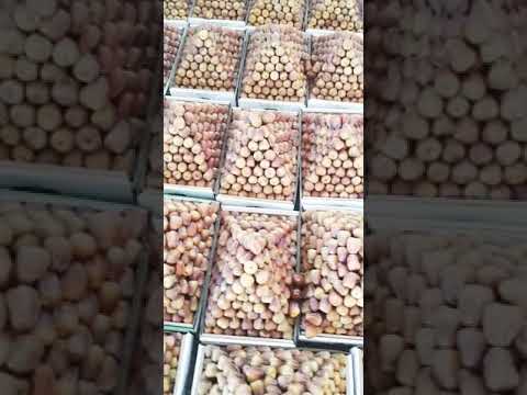 تمور القصيم موسم ١٤٤٣ سكري فاخر    1443  