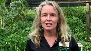 Eco-Friendly Partner Award - University of Village Farm
