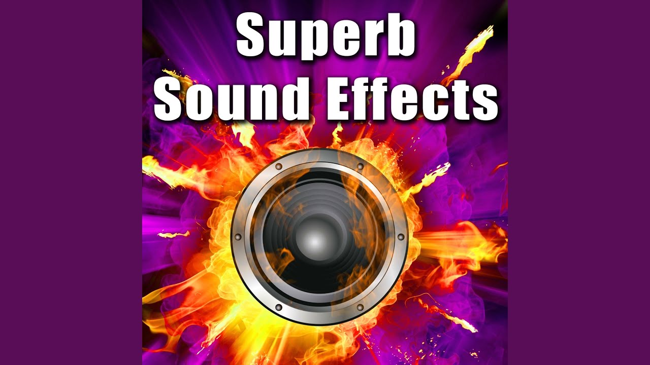 Guarda Sharp Impact with Scary Moment su YouTube Guarda Sharp Impact with Scary Moment su YouTube