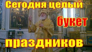 Проповедь в праздник Обрезания Господня митрополита Минского и Заславского Павла .