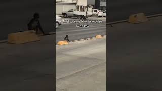 ¡Mono Araña paseando por Ecovía en Monterrey!