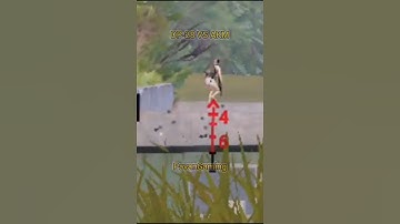 DP-28 VS AKM ZERO RECOIL 2X VS 4X SCOPE #bgmi