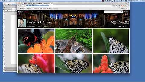 How to use the Flickr Widgets