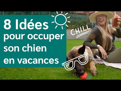 Vidéo: Happy Campers: Tout ce que vous devez savoir pour profiter du grand air avec votre chien