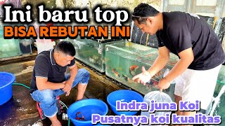 Wow ini baru mantap🤩🤩bisa jadi incaran Koi kualitas seperti ini🤩🤩Indra juna Koi farm