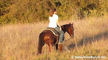 Rockin N Playin - trail riding! - ValleyViewRanch.net