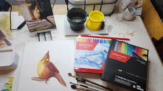 Watercolor Crayon: Caran D'Ache Neocolor 2 painting of a Cardinal