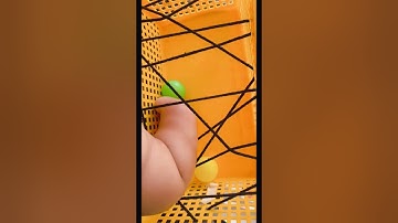 Creative and educational diy home activities for babies #shorts #youtubeshorts