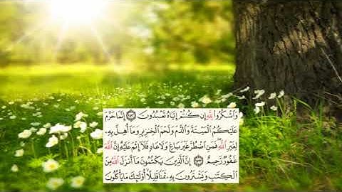 سعد الغامدي -سورة البقرة صفحة -26- (page (alba9ra