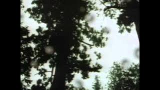 It's Gonna Rain! - Bonnie Pink (Samurai X)