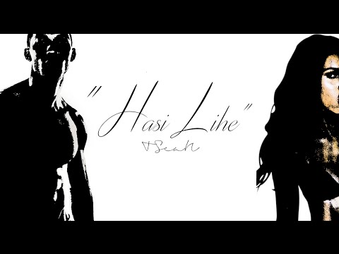NSTYPLY - Hasi