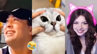 Best Memestry Not To Laugh Part 15