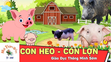 CON HEO - CON LỢN | PIG | Con Gì Đây | Bé Học Khám Phá Thế Giới Con Vật | Nhà Thám Hiểm Tí Hon