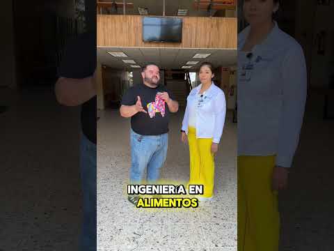 ¿Qué hace un/a