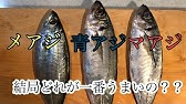 ヒラアジの煮付け Youtube