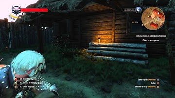 Witcher 3 Missing Brother Contract Fix