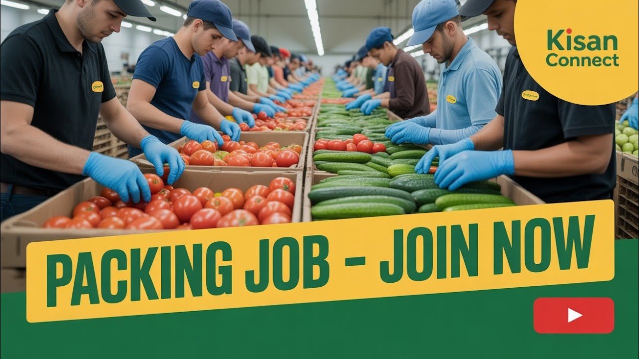 Kissan Konnect Company Video/ Mumbai Packing Jobs / 9967096895 / Job's Time /free jobs in Mumbai 