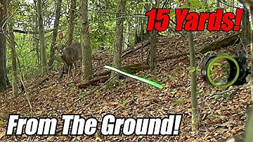 Point Blank Buck! | PA Archery Deer Hunting 2025!