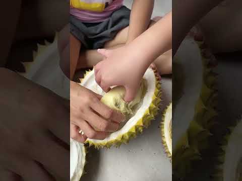 Makan durian sampai mabook #mommylife #mommy #mommyvlogger #funny