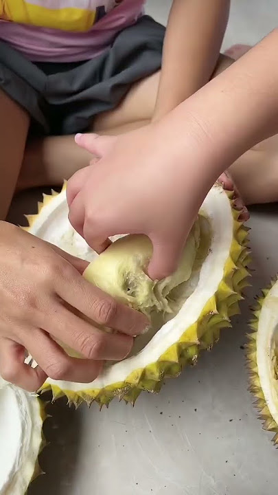 Makan durian sampai mabook #mommylife #mommy #mommyvlogger #funny